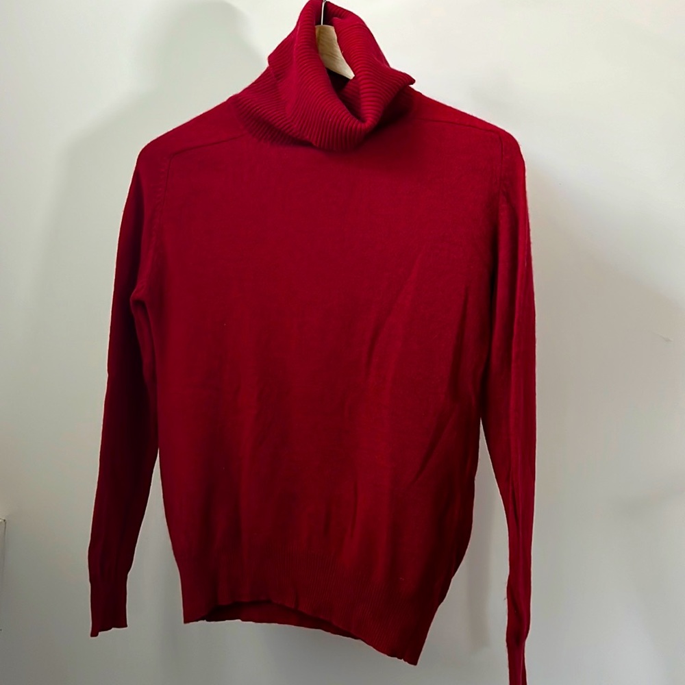 Cashmere Turtle Neck Sweater